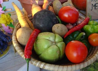 PRIMERI DOBRE PRAKSE – Organska bašta unosan biznis