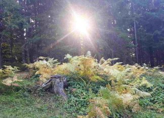 U TOKU PRIJAVE ZA VAUČERE Izaberi svoju avanturu, vidi Srbiju