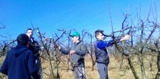 Poljoprivredna škola sa domom učenika “LJUBO MIĆIĆ” u Požegi PRAVA ŠKOLA NA PRAVOM MESTU