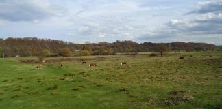 INTERVJU Branislav Glušac: VIŠESTRUKO SMO POVEĆALI IZDVAJANJA ZA POLJOPRIVREDU